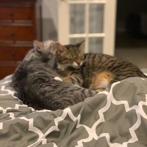 Meet your Posher, Lyndsay